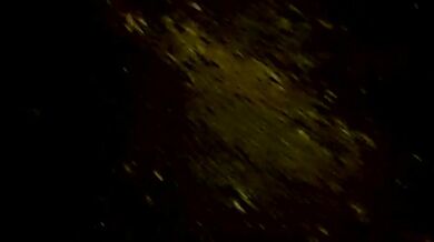 ❤️√ 【秦少会所探花】24.08.10 偷拍 真实攻略会所女子 女技师 一条龙服务 探花 专挑大奶技师  (6)